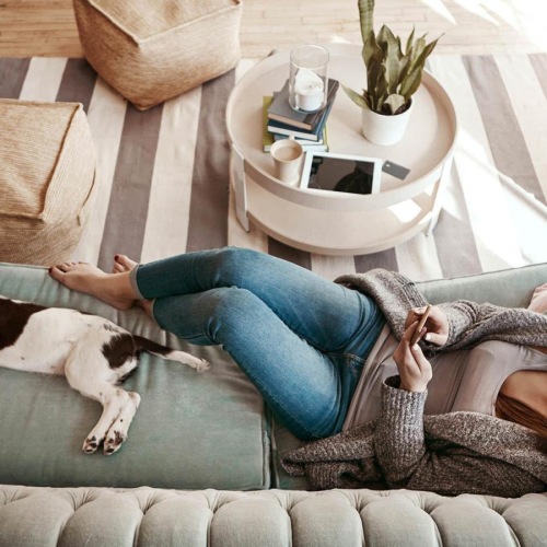 overhead view of  a woman texting as she lies on a couch with a dog at her feet